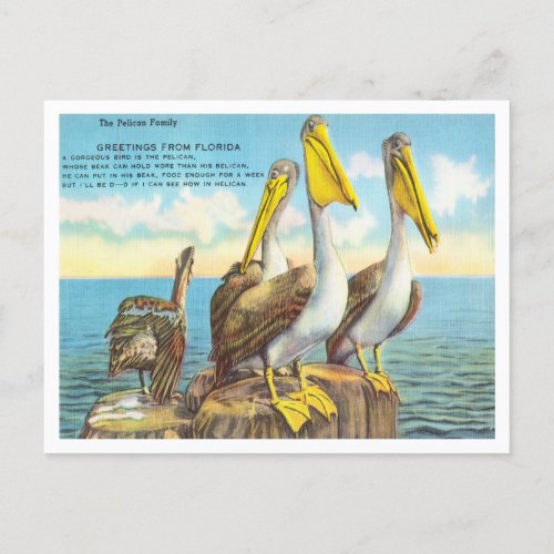 Greetings from Florida The Pelican Family Travel Postcard
