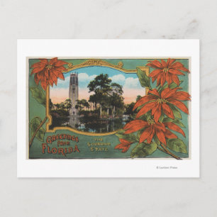 Greetings from Florida the Sunshine State Postcard