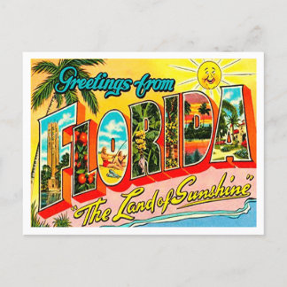 Greetings from Florida Vintage Travel Postcard