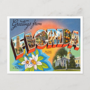 Greetings from Florida Vintage Travel Postcard