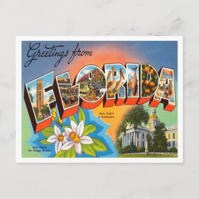 Greetings from Florida Vintage Travel Postcard (Front)