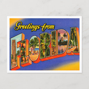 Greetings from Florida Vintage Travel Postcard