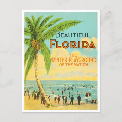 Greetings from Florida Vintage Travel Postcard