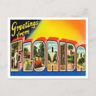 Greetings from Florida Vintage Travel Postcard