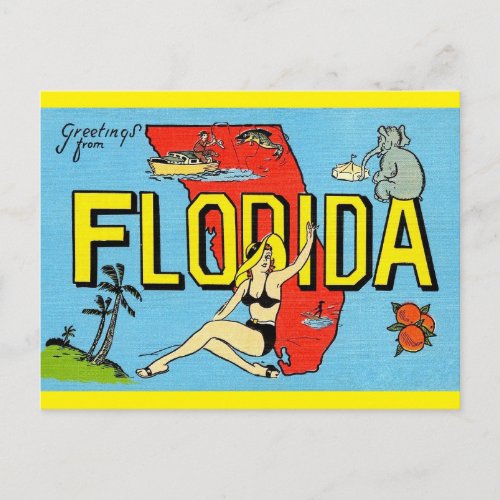  Greetings from Florida Vintage Travel _  Postcard