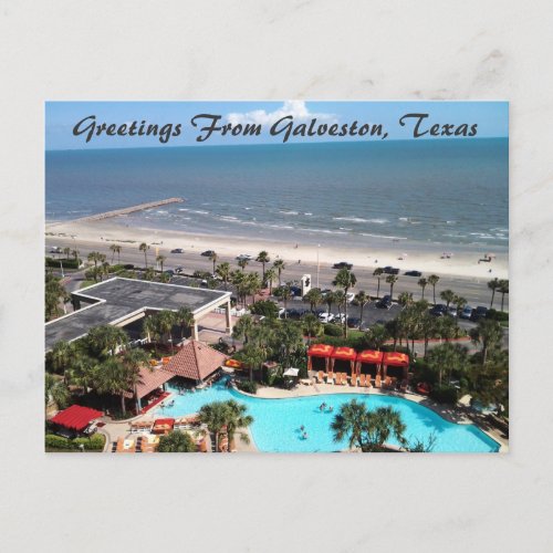 Greetings From Galveston Texas Postcard