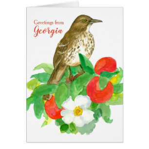 Greetings from Georgia Brown Thrasher Blank Cards
