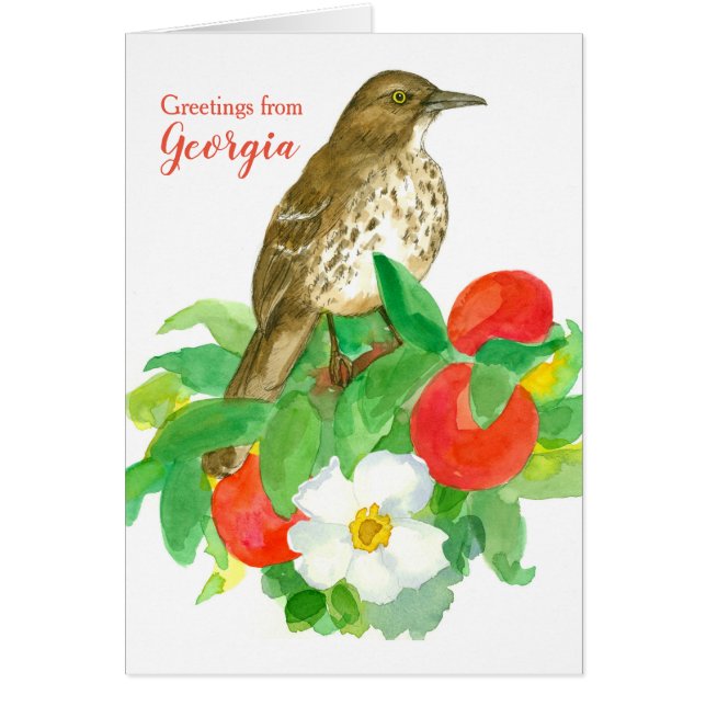 Greetings from Georgia Brown Thrasher Blank Cards (Front)