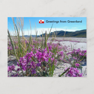 Greetings from Greenland 5 Postcard