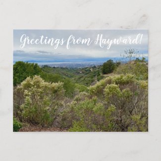 Greetings from Hayward! Postcard