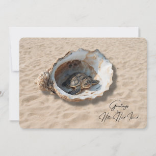 Greetings from Hilton Head Island Sea Turtle Card