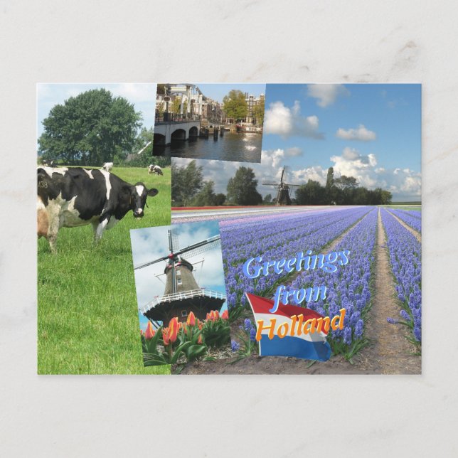 Greetings from Holland Postcard (Front)