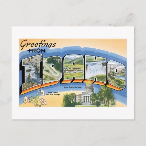 Greetings from Idaho Postcard