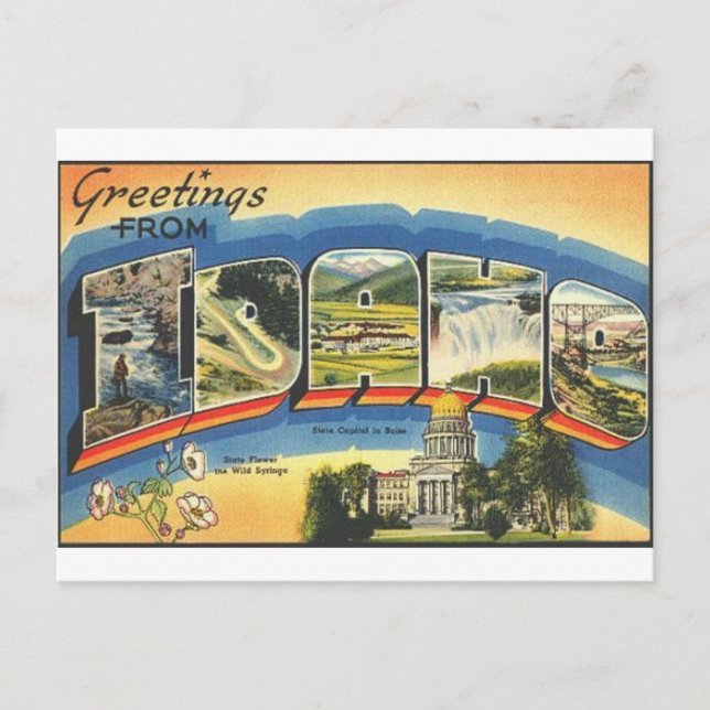 Greetings from Idaho Postcard (Front)