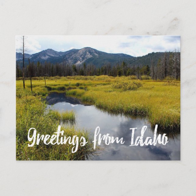Greetings From Idaho Scenic Photo Postcard (Front)
