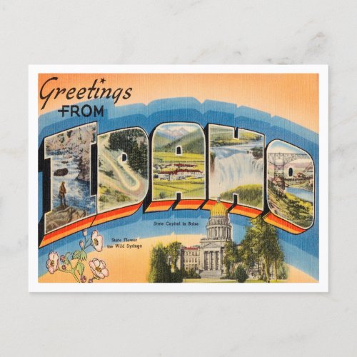 Greetings from Idaho Vintage Travel Postcard