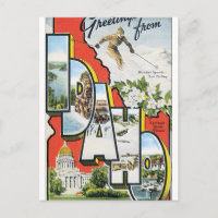 Greetings from Idaho Vintage Travel Poster Artwork