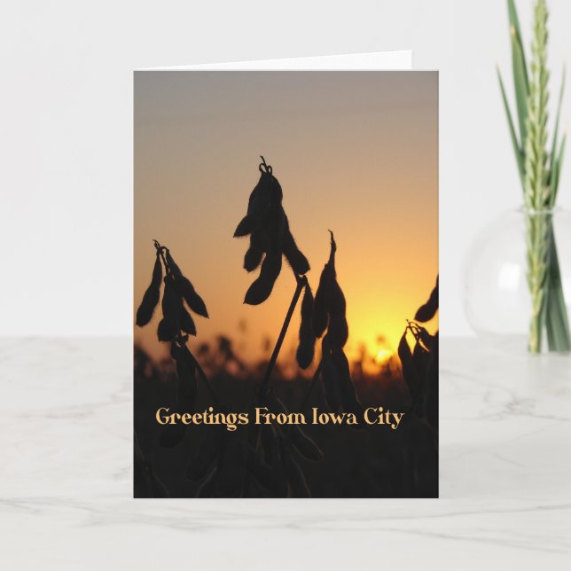 Greetings From Iowa City, Soybeans All Occasions  Card (Front)