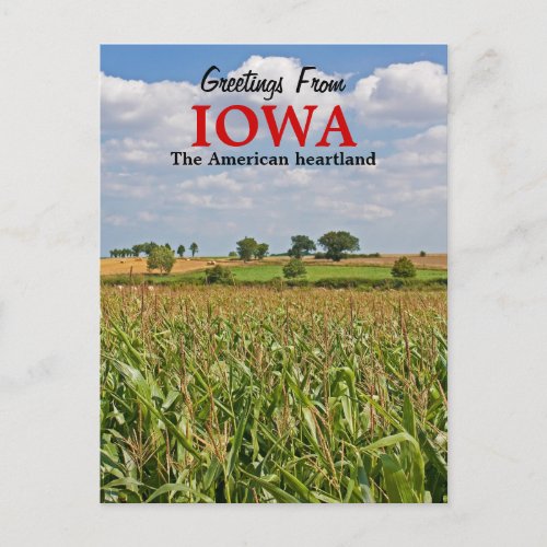 Greetings From Iowa Postcard