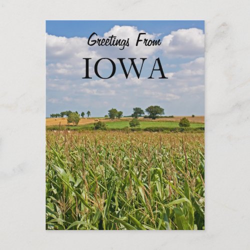 Greetings From Iowa Postcard