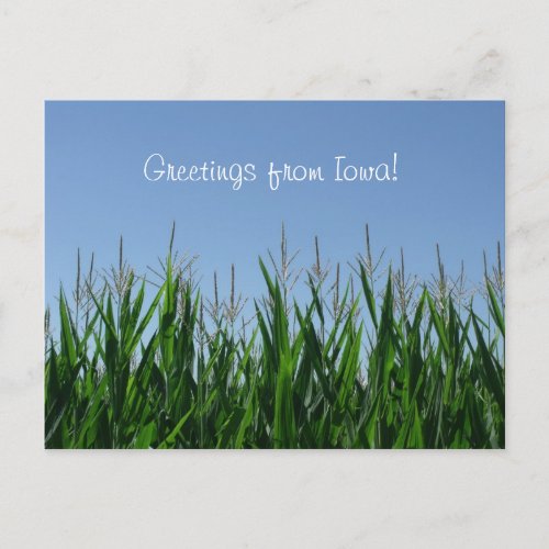 Greetings From Iowa Postcard