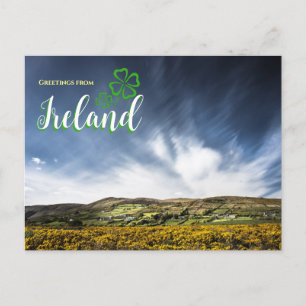 Greetings from Ireland Scenic Postcard  