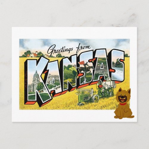 Greetings from Kansas Cairn Terrier Toto Postcard