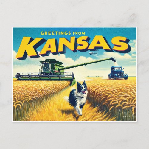 Greetings From Kansas Wheat Combine Border Collie Postcard