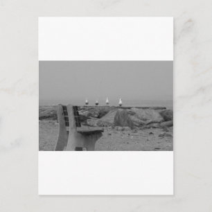 Greetings from Long Island, NY Postcard