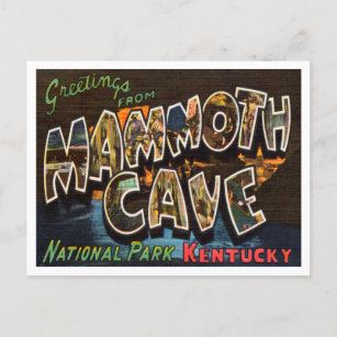 Greetings from Mammoth Cave National Park Kentucky Postcard