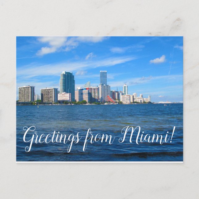 Greetings from Miami Florida Postcard (Front)