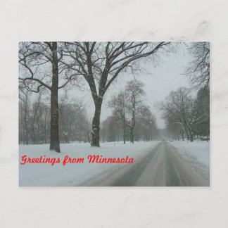 Greetings from Minnesota Postcard