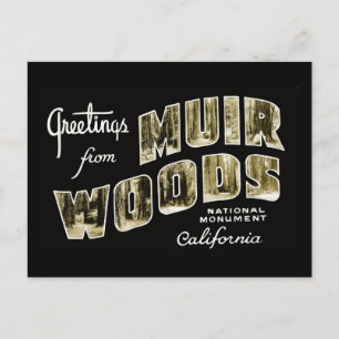 Greetings from Muir Woods National Monument Postcard