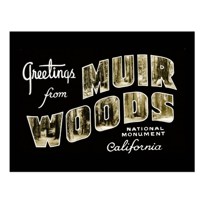 Greetings Muir Woods National Monument Postcard