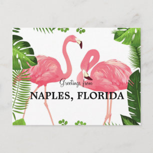 Greetings from Naples, Florida Postcard