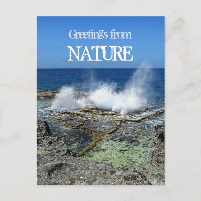 Greetings from Nature Postcard (Front)