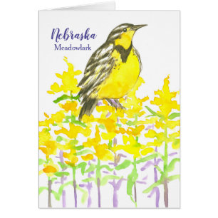 Greetings From Nebraska Meadowlark Goldenrod Cards