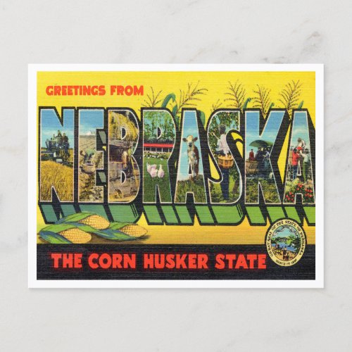 Greetings from Nebraska The Corn Nusker State Postcard