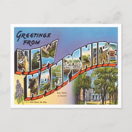 Greetings from New Hampshi Vintage Travel Postcard