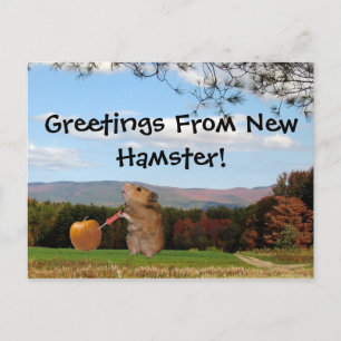 Greetings From New Hamster! Postcard