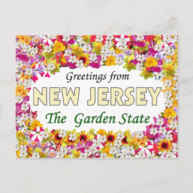 Greetings from New Jersey Postcard (Front)