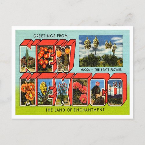 Greetings from New Mexico Vintage Travel Postcard