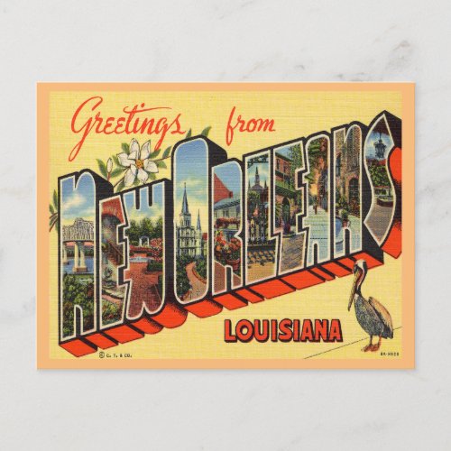 Greetings from New Orleans Louisiana Travel  Postcard