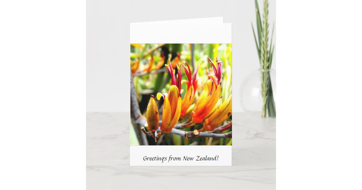 Greetings From New Zealand Card Zazzle