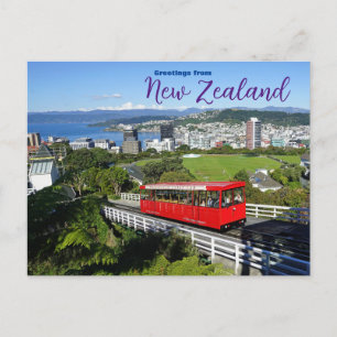 Greetings from New Zealand Postcard
