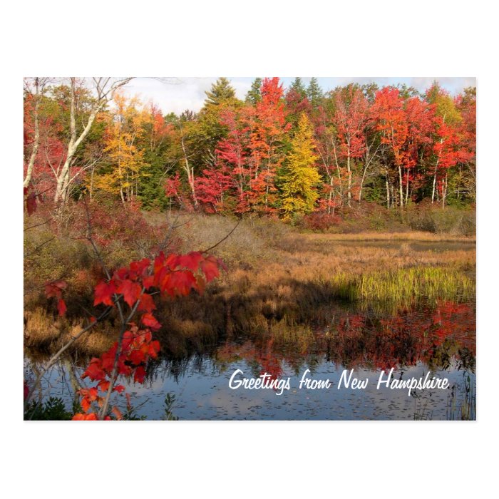 Greetings NH Fall Postcards