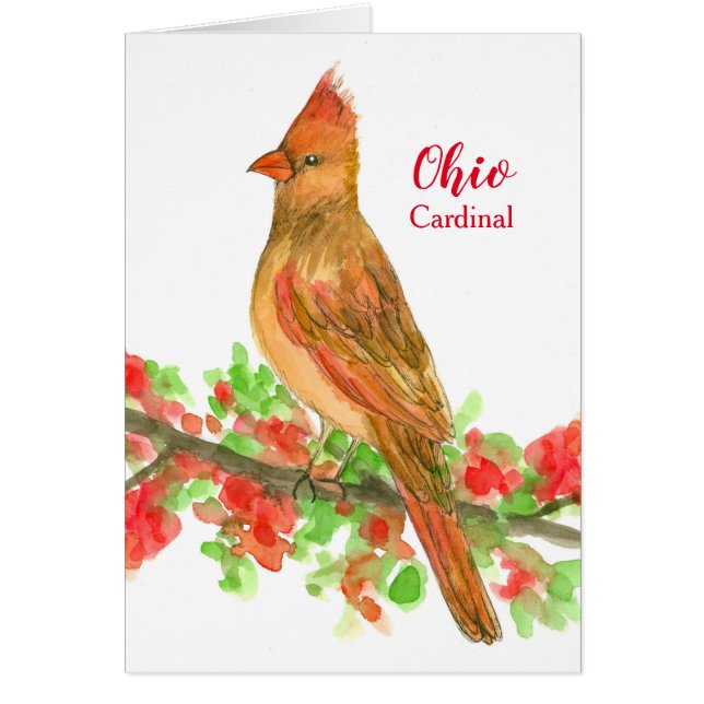 Greetings From Ohio Female Cardinal Blank Cards (Front)