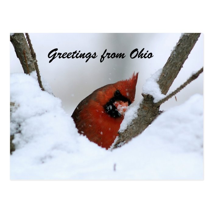 Greetings Ohio Postcards