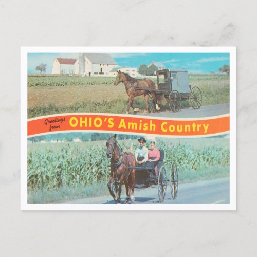 Greetings from Ohios Amish country Ohio Postcard