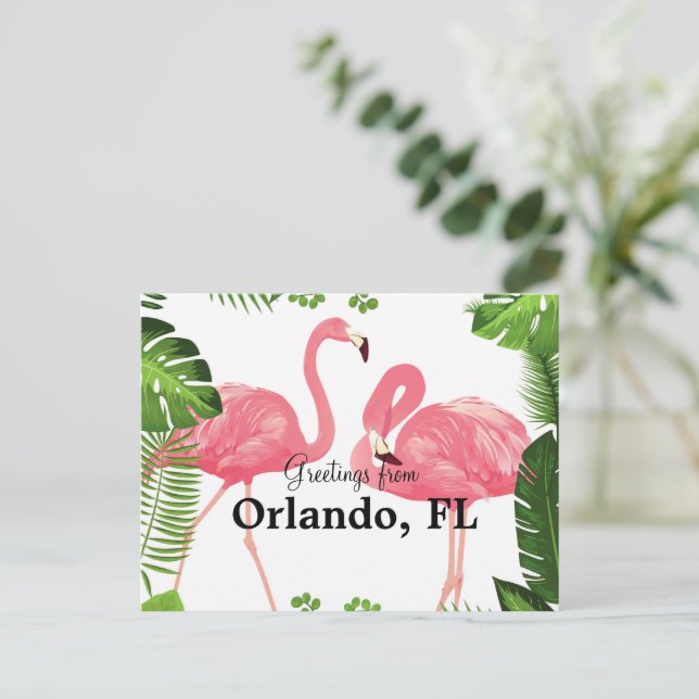 Greetings from Orlando, FL--pink flamingos Postcard (Standing Front)
